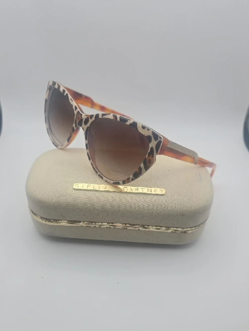 Stella McCartney stylish cat